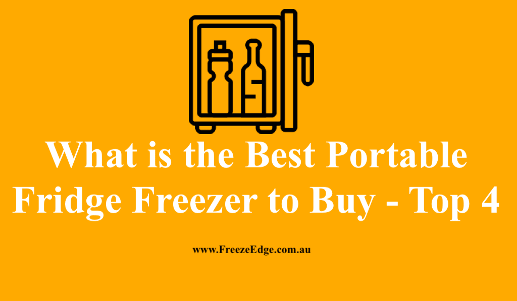 Best Portable Fridge Freezer
