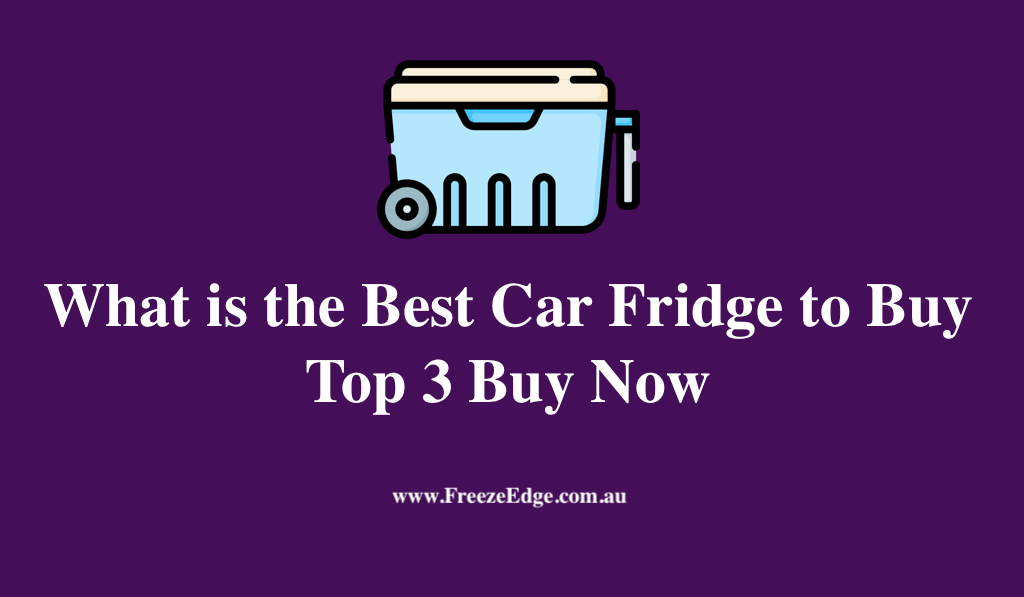 What is the Best Car Fridge to Buy
